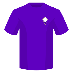 fiorentina jersey