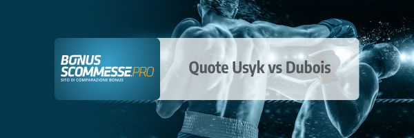 usyk dubois quote